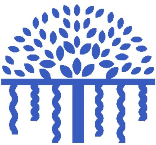 ScientificBioMinds Logo